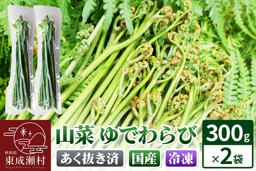 山菜 ゆでわらび 300g×2 【冷凍】 秋田県 東成瀬村産 TAKAYA [山菜 国産 ワラビ わらび 冷凍 アク抜き あく抜き]