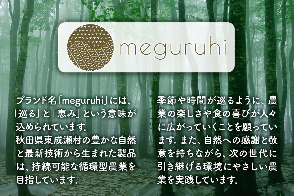 meguruhi 仙人しいたけ 約800g