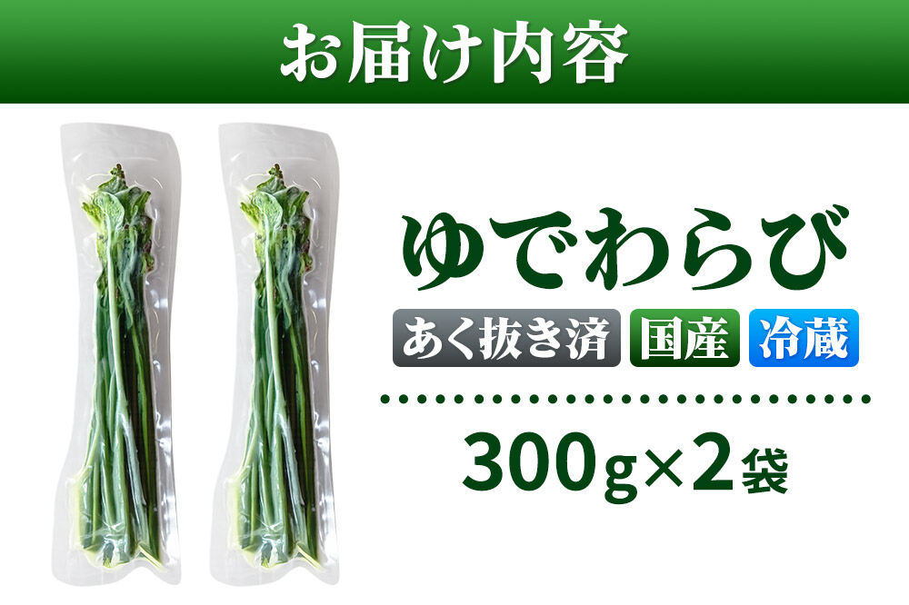 山菜 ゆでわらび 300g×2 【冷蔵】秋田県 東成瀬村産 TAKAYA [山菜 国産 ワラビ わらび アク抜き あく抜き 冷蔵]
