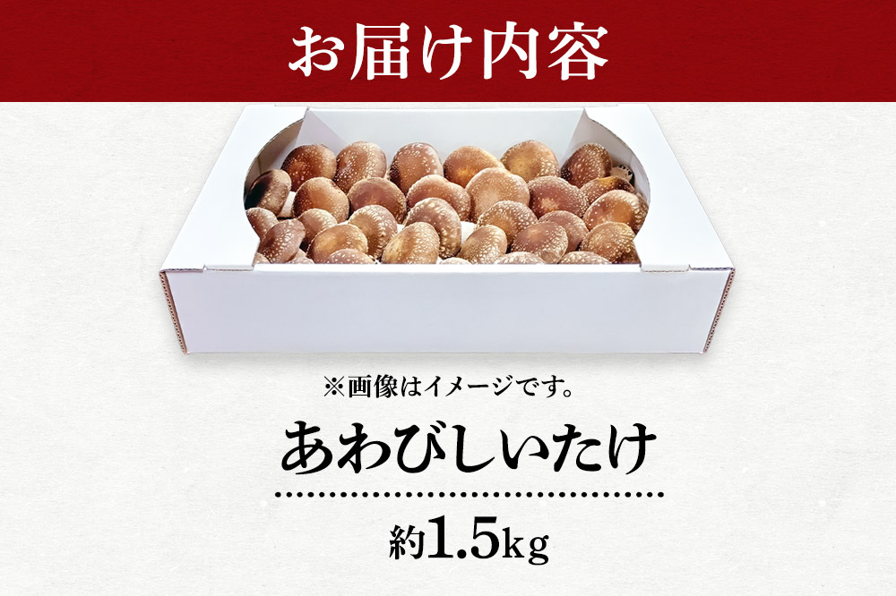椎茸 あわびしいたけ 約1.5kg 滝ノ沢ファーム 菌床 シイタケ きのこ 食べ応え 肉厚 茸 秋田県 国産 大ぶり 高品質 [きのこ しいたけ 椎茸 シイタケ 東成瀬村 あわび 食べ応え 菌床 無農薬 農薬不使用 朝採り 新鮮 食感 ギフト 贈り物]
