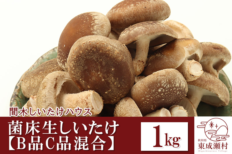 ご家庭用 菌床生しいたけ（B品C品混合） 1kg 椎茸