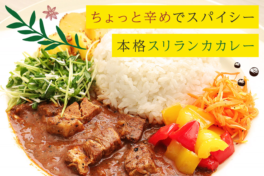 成瀬ダム スリランカカレー 100g×2個  ゆうパケット