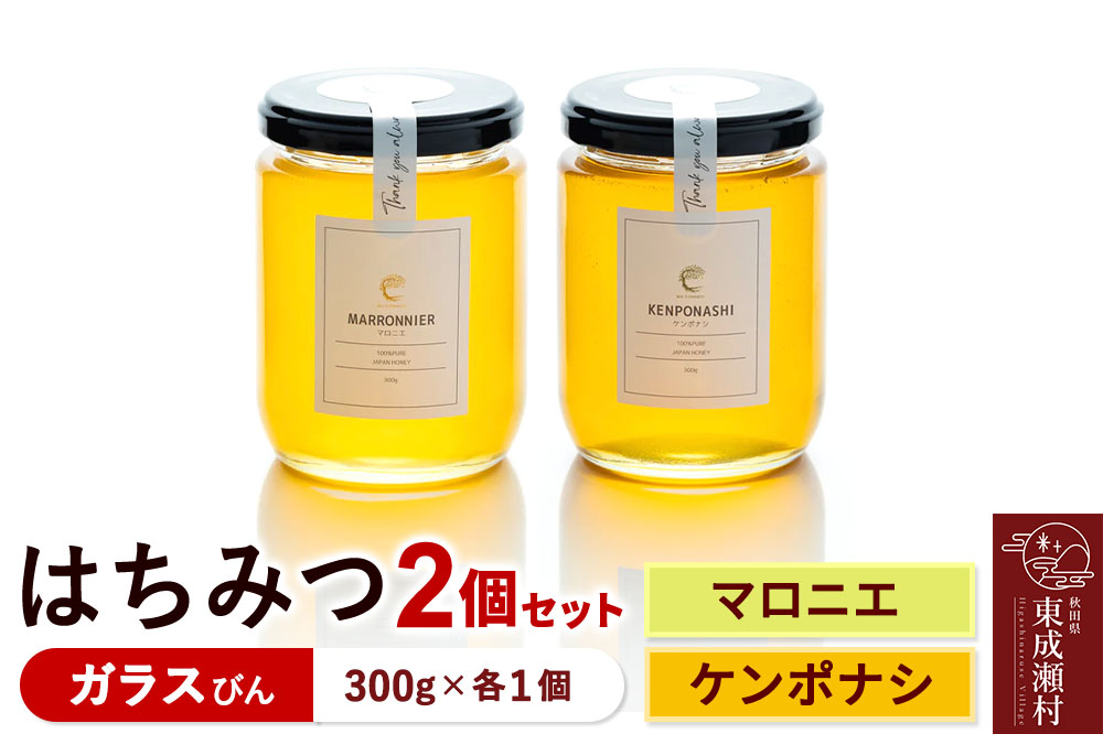 はちみつ2個セット（MARRONNIER・KENPONASHI ガラスびん）300g×各1個 計2個