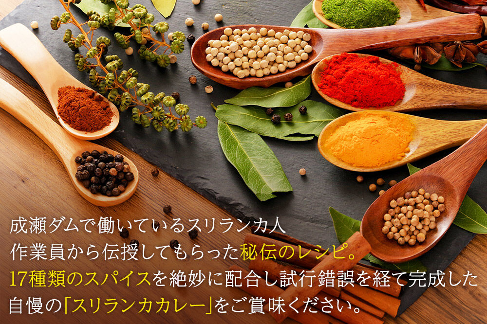 成瀬ダム スリランカカレー 100g×5個 [カレー スリランカ レトルト パウチ 防災 非常食 食品 備蓄 ストック 常温 保存 お手軽 ポークカレー 豚肉 グルメ 惣菜 夜ごはん ランチ 昼ごはん]
