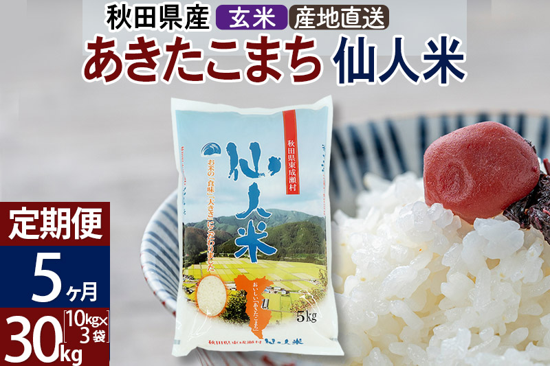 秋田県産　あきたこまち　玄米　30キロ 令和元年産