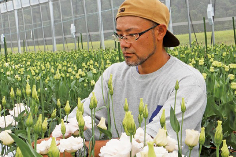 令和7年収穫分 花 生花 トルコギキョウおまかせセット (10〜15本)【先行予約】 かねはちファーム【2025年8月上旬から順次発送予定】