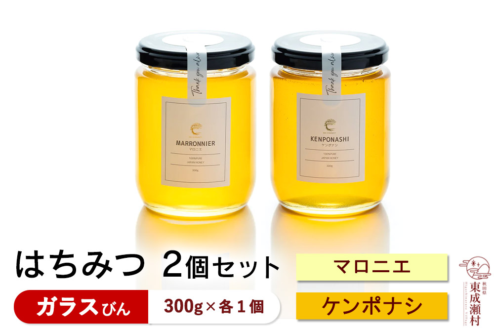 はちみつ2個セット（MARRONNIER・KENPONASHI ガラスびん）300g×各1個 計2個