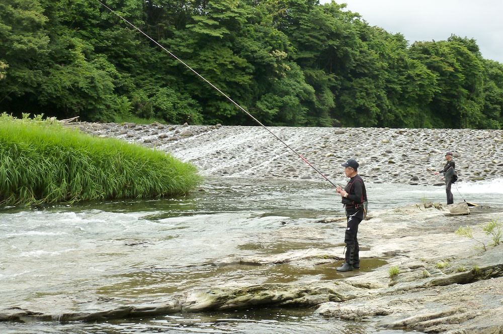 成瀬川 年間遊漁券（あゆ）【6月上旬〜中旬より順次発送】川釣り