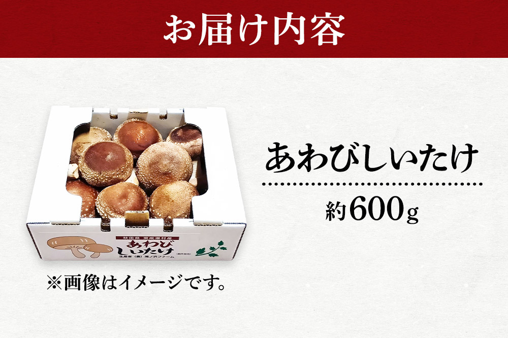 椎茸 あわびしいたけ 約600g 滝ノ沢ファーム 菌床 シイタケ きのこ 食べ応え 肉厚 茸 秋田県 国産 大ぶり 高品質 [きのこ しいたけ 椎茸 シイタケ 東成瀬村 あわび 食べ応え 菌床 無農薬 農薬不使用 朝採り 新鮮 食感 ギフト 贈り物]