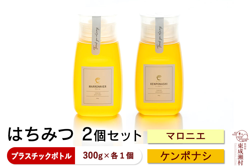 はちみつ2個セット（MARRONNIER・KENPONASHI プラスチックボトル）300g×各1個 計2個