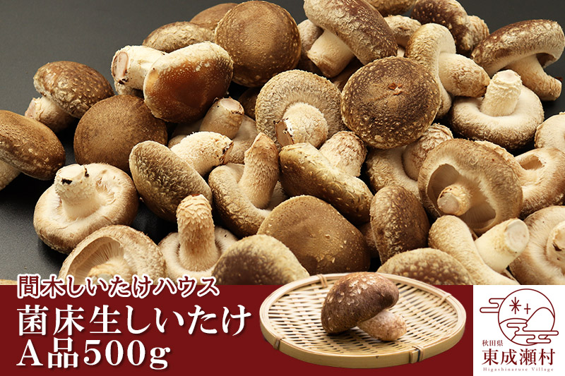 菌床生しいたけ（A品）500g 椎茸