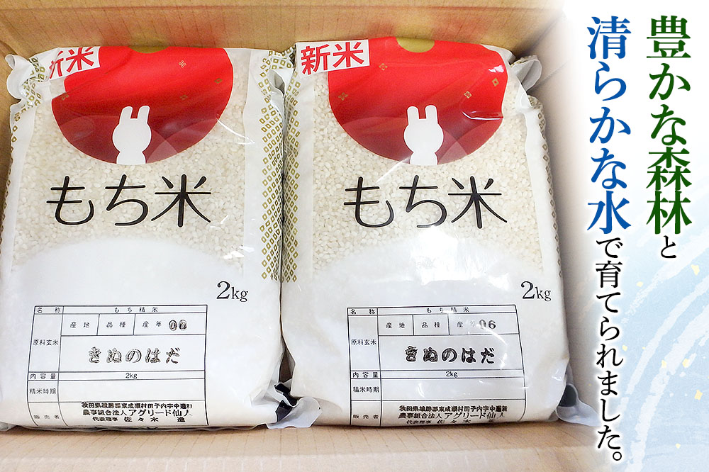 秋田県東成瀬村産 もち米（きぬのはだ ）2kg×2袋 餅米