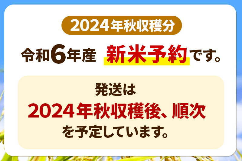 ※令和6年産 新米予約※【定期便4ヶ月】令和6年産 あきたこまち 秋田県産「仙人米」玄米 10kg（5kg×2袋）【2024年秋ごろ出荷予定】