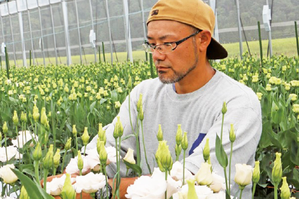 令和8年収穫分 花 生花 トルコギキョウおまかせセット (10〜15本)【先行予約】 かねはちファーム【2026年8月下旬から順次発送予定】