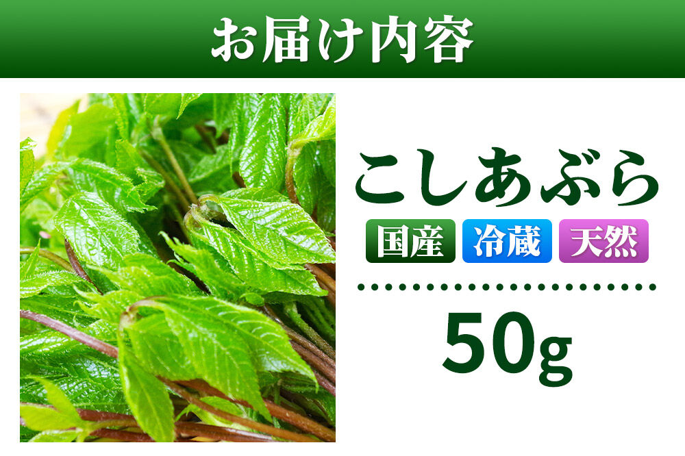 山菜 こしあぶら 50g 秋田県 東成瀬村産 TAKAYA [山菜 国産 コシアブラ 天然 冷蔵]