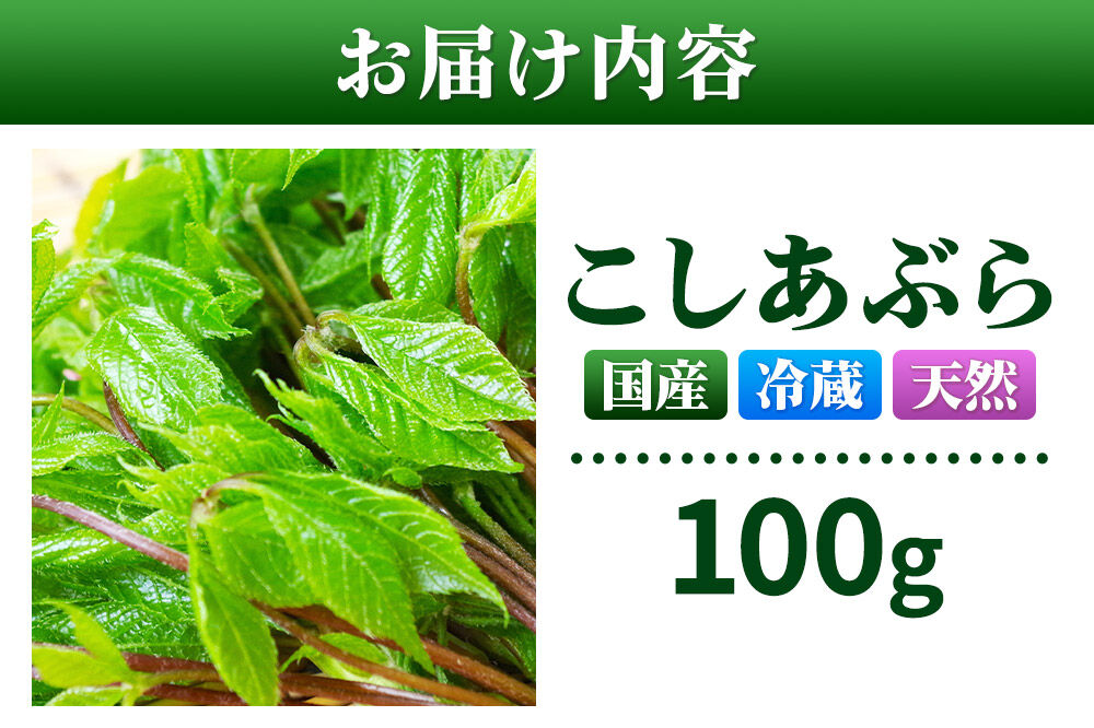 山菜 こしあぶら 100g 秋田県 東成瀬村産 TAKAYA [山菜 国産 コシアブラ 天然 冷蔵]