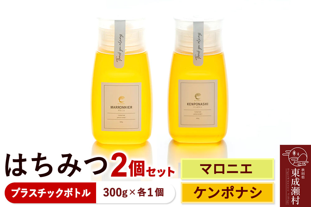 はちみつ2個セット（MARRONNIER・KENPONASHI プラスチックボトル）300g×各1個 計2個