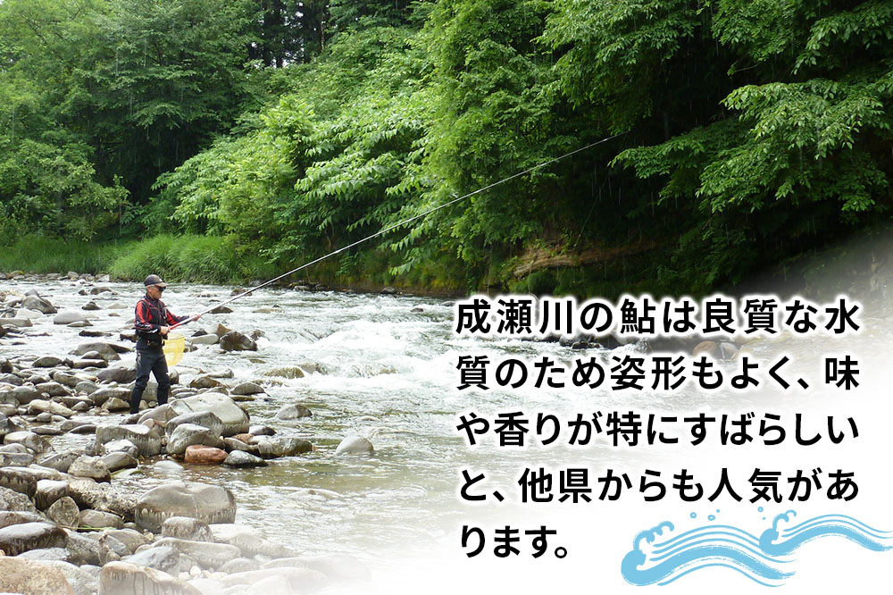 成瀬川 年間遊漁券（あゆ）【6月上旬〜中旬より順次発送】川釣り