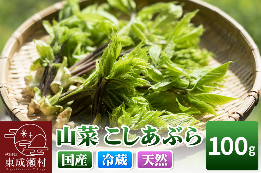 山菜 こしあぶら 100g 秋田県 東成瀬村産 TAKAYA [山菜 国産 コシアブラ 天然 冷蔵]