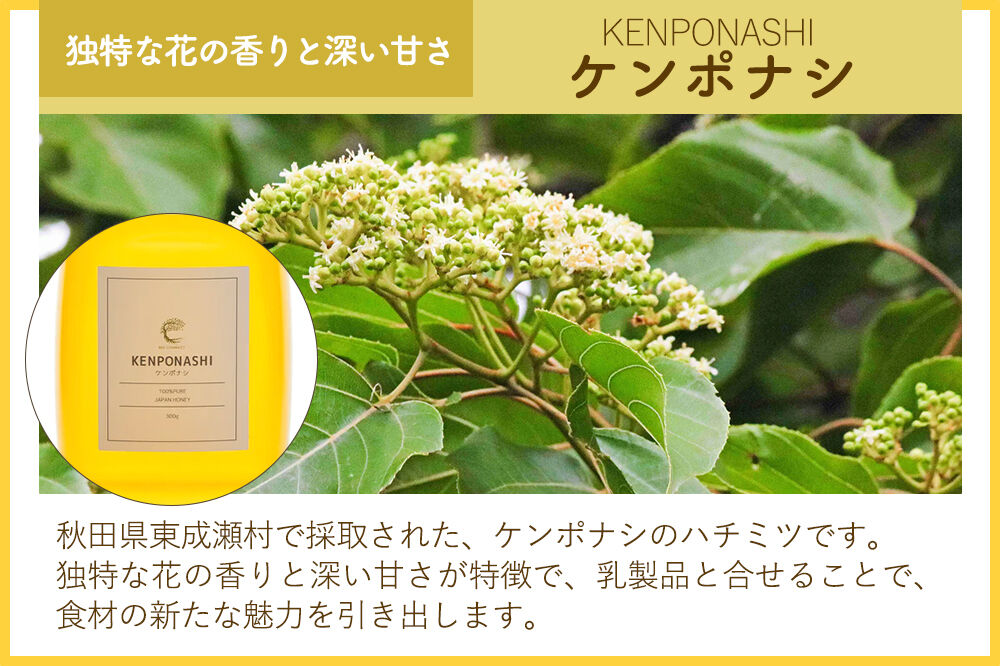 はちみつ3個セット（E.NARUSE・KENPONASHI・MARRONNIER プラスチックボトル）300g×各1個 計3個 [BEE CONNECT はちみつ ハチミツ 蜂蜜 セット ボトル プラスチックボトル プラボトル マロニエ 栃 トチ 玄圃梨 百花 百花蜜 秋田県産]