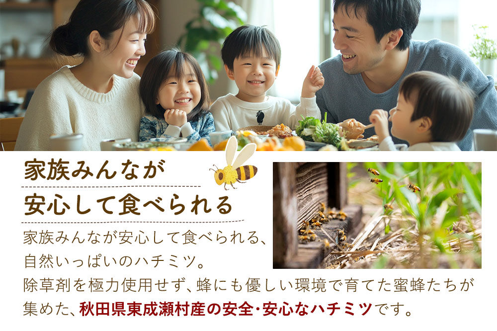はちみつ3個セット（E.NARUSE・KENPONASHI・MARRONNIER プラスチックボトル）300g×各1個 計3個 [BEE CONNECT はちみつ ハチミツ 蜂蜜 セット ボトル プラスチックボトル プラボトル マロニエ 栃 トチ 玄圃梨 百花 百花蜜 秋田県産]