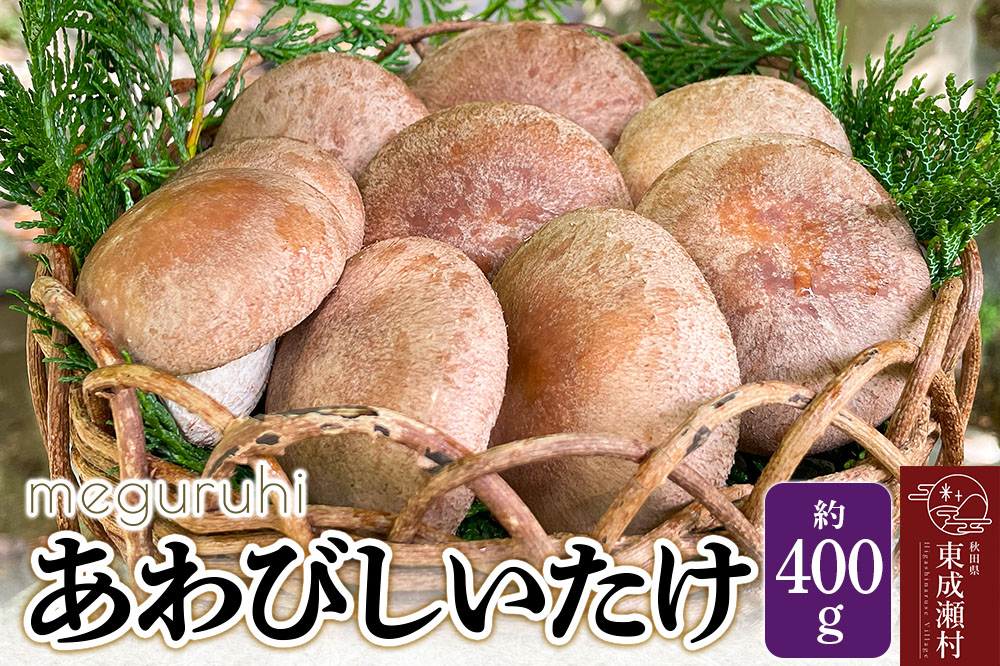 meguruhi あわびしいたけ（約400g）菌床 椎茸 シイタケ きのこ 食べ応え 肉厚 茸 秋田県 国産 大ぶり 高品質