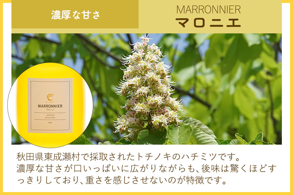 はちみつ3個セット（E.NARUSE・KURI＋・MARRONNIER プラスチックボトル）300g×各1個 計3個