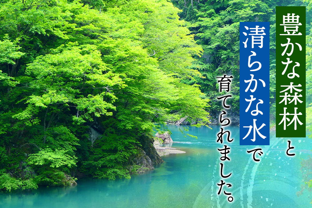 秋田県東成瀬村産 もち米（きぬのはだ ）2kg×2袋 餅米