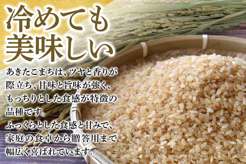 meguruhi 令和6年産 あきたこまち 玄米 3kg（3kg×1袋）秋田県 東成瀬村産 2024年産 お米