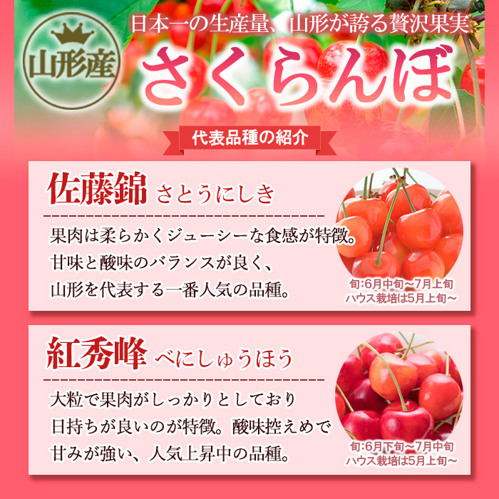 ★旬大粒★山形産 さくらんぼ 佐藤錦 2L 500g 【令和7年産先行予約】FU21-031