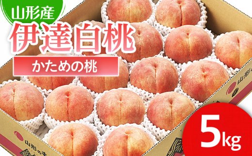 山形市産 桃「伊達白桃」 秀以上 5kg(13玉～18玉)[かための桃] 【令和7年産先行予約】FS24-624