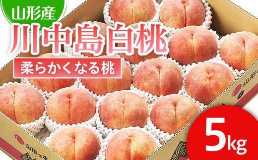 山形市産 桃「川中島白桃」 秀以上 5kg(13玉～18玉)[柔らかくなる桃] 【令和7年産先行予約】FU21-062