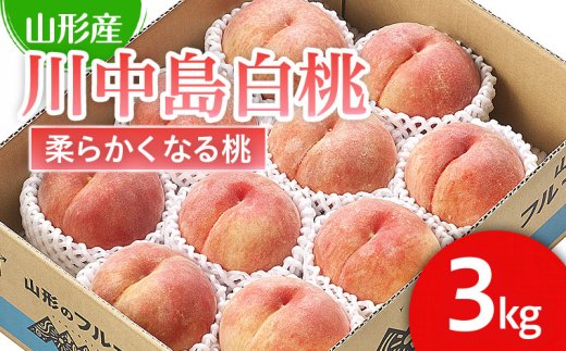 山形市産 桃「川中島白桃」 秀以上 3kg(8玉～11玉)[柔らかくなる桃] 【令和7年産先行予約】FU21-063