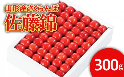 ★温室栽培★山形市産 さくらんぼ 「佐藤錦」 L以上 300g 化粧手詰め 【令和8年産先行予約】FS25-578
