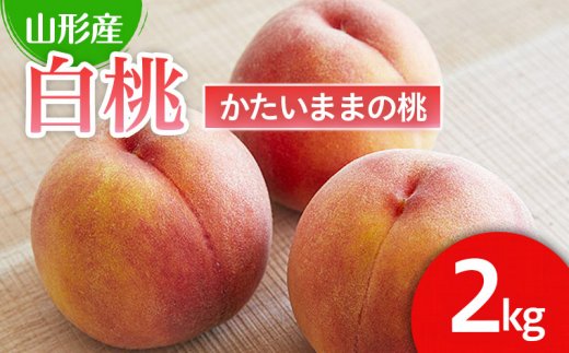 硬い食感が人気！山形産パリパリの硬い桃 約2kg 【令和7年産先行予約】FU21-078