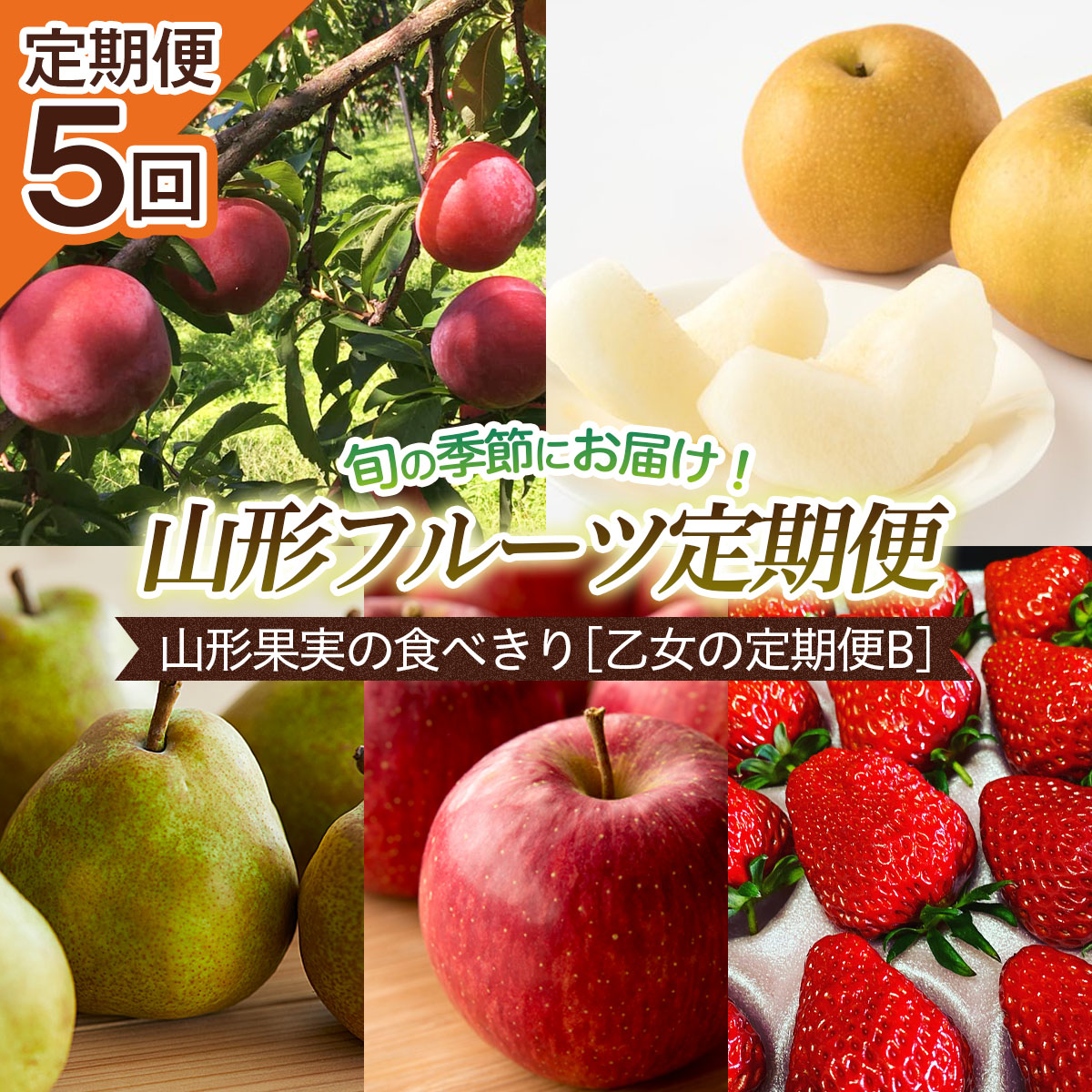 【定期便5回】山形果実の食べきり[乙女の定期便B] 【令和8年産先行予約】FU22-949