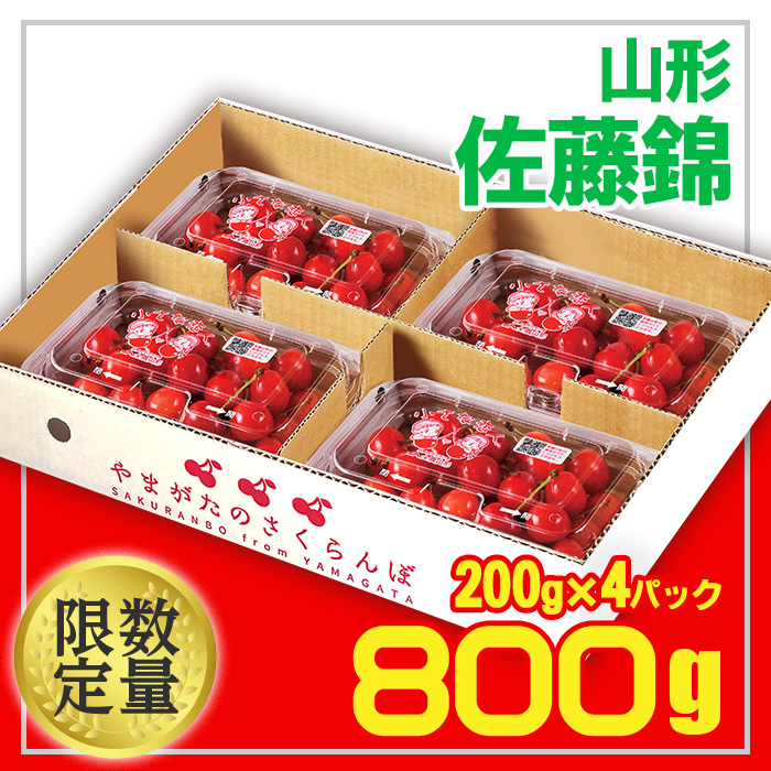 ★山形産 さくらんぼ 佐藤錦★L 800g(200g×4) 【令和7年産先行予約】FU21-093