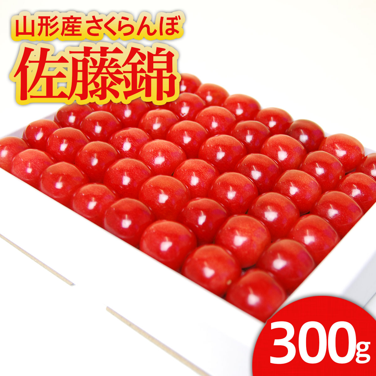 山形産 ハウス さくらんぼ 佐藤錦 300g 鏡詰 Lサイズ以上 【令和7年産先行予約】FS24-545