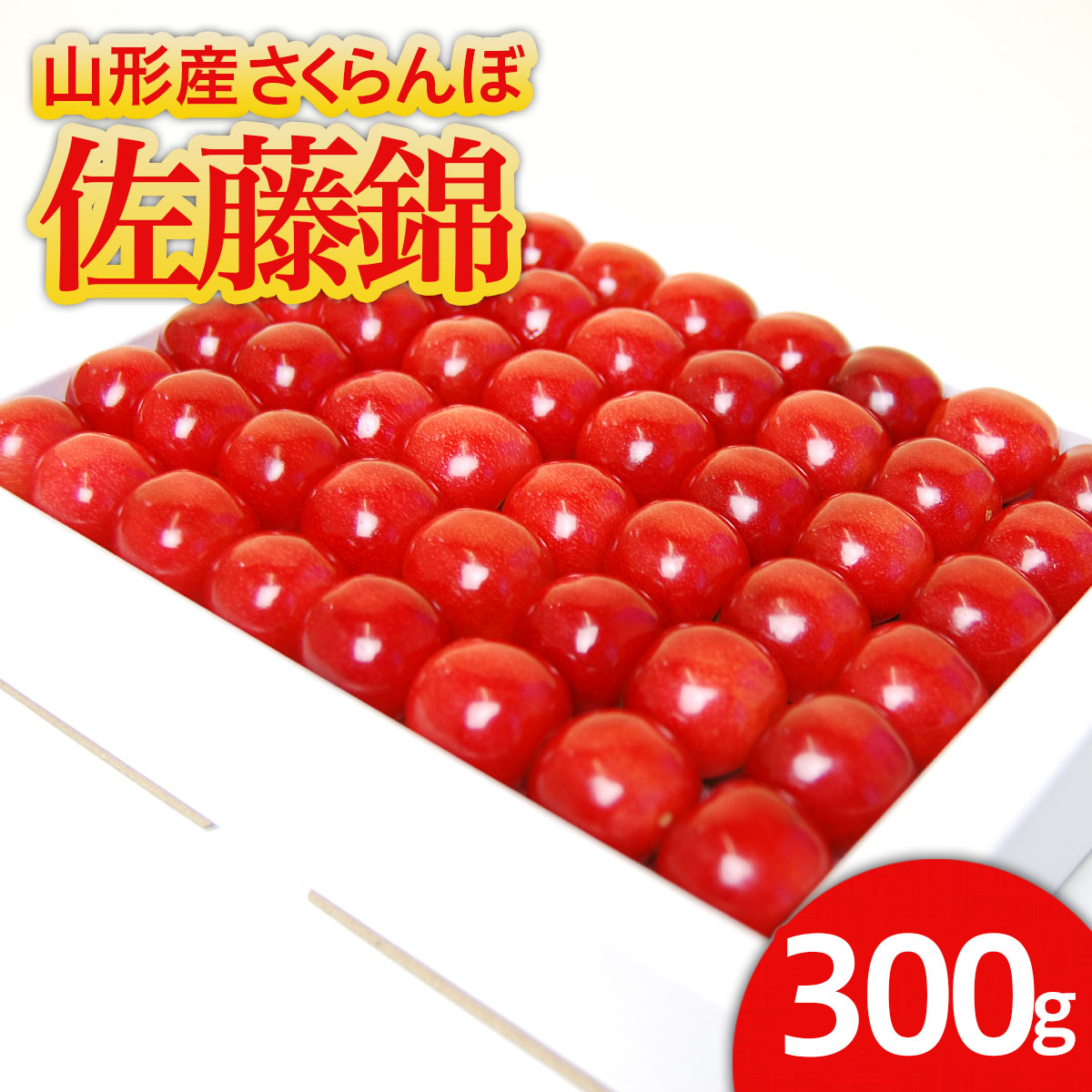 山形産 ハウス さくらんぼ 佐藤錦 300g 鏡詰 Lサイズ以上 【令和8年産先行予約】FS24-545