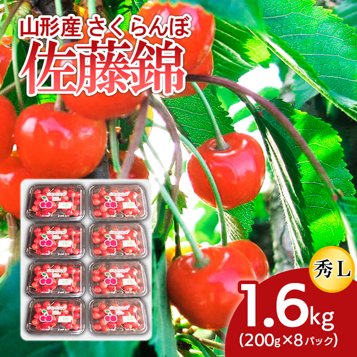 山形産 さくらんぼ 佐藤錦 L 1.6kg(200g×8パック) 【令和7年産先行予約】FS24-504