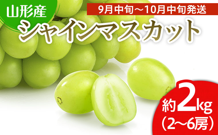 山形市産 シャインマスカット 秀 2kg(2～6房)[前半] 【令和7年産先行予約】FS24-659