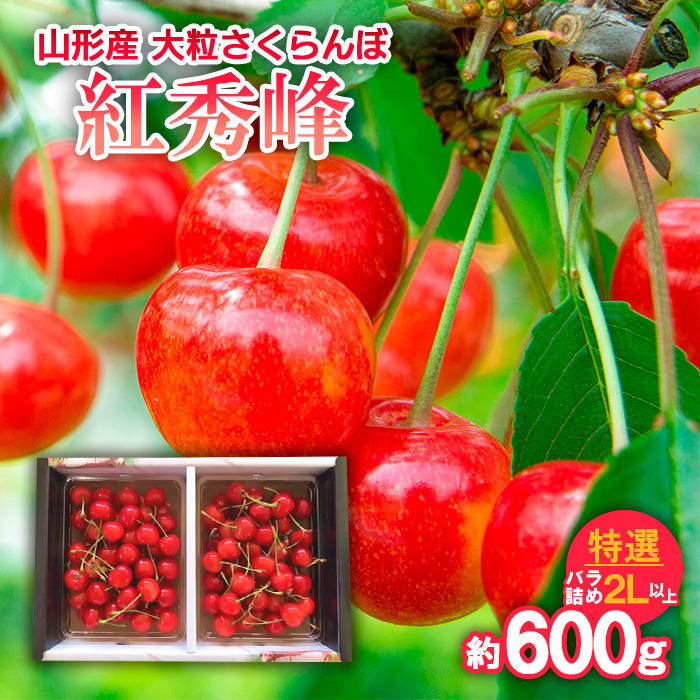 山形産 大粒さくらんぼ 紅秀峰 特選 バラ詰め 2L以上 約600g 【令和7年産先行予約】FS24-638