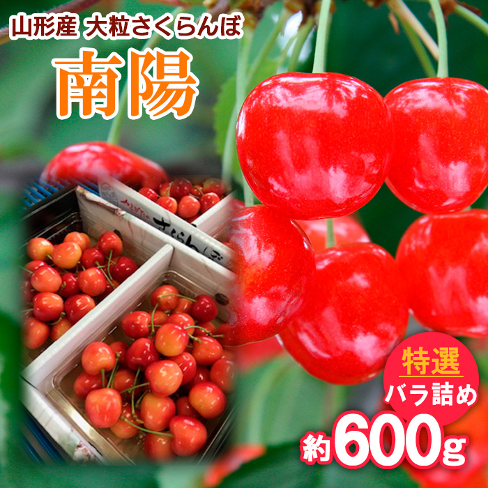 山形産 大粒さくらんぼ 南陽 特選 バラ詰め 約600g 【令和8年産先行予約】FS25-712