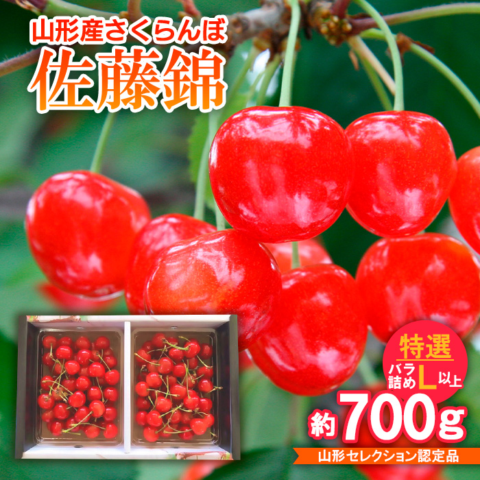 さくらんぼ 佐藤錦 特選バラ詰め L以上 約700g山形セレクション認定品 【令和8年産先行予約】FS25-717