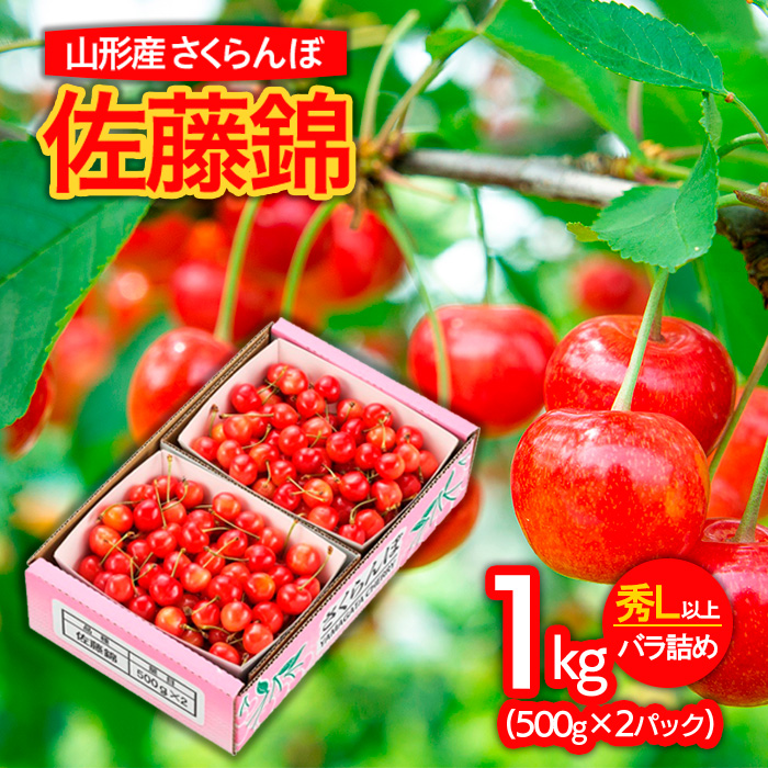 山形市産さくらんぼ 佐藤錦 L以上 1kg(500g×2)バラ詰め 【令和7年産先行予約】FS24-622