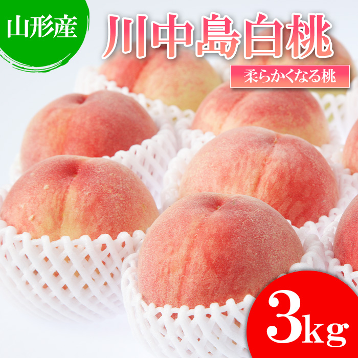 【白桃】川中島白桃 3kg(6～12玉)[柔らかくなる桃] 【令和8年産先行予約】FU22-783