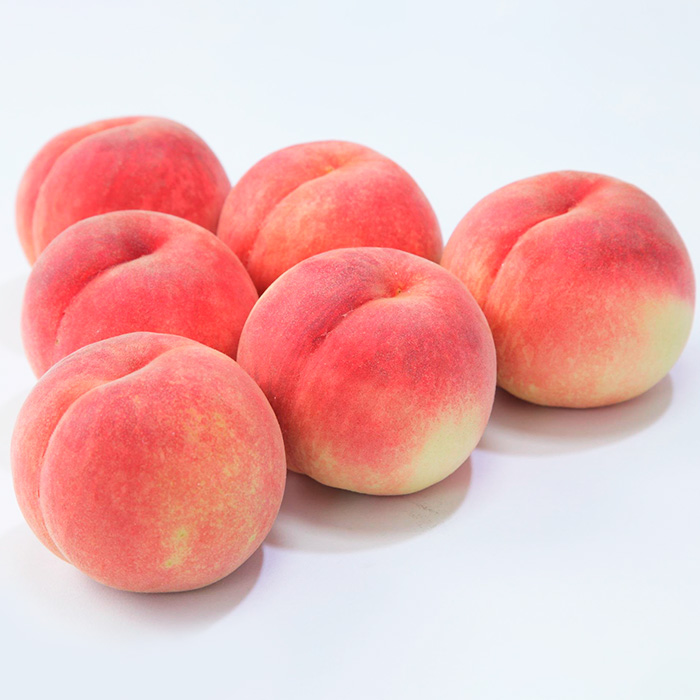  【白桃】川中島白桃 3kg(6～12玉)[柔らかくなる桃] 【令和8年産先行予約】FU22-783