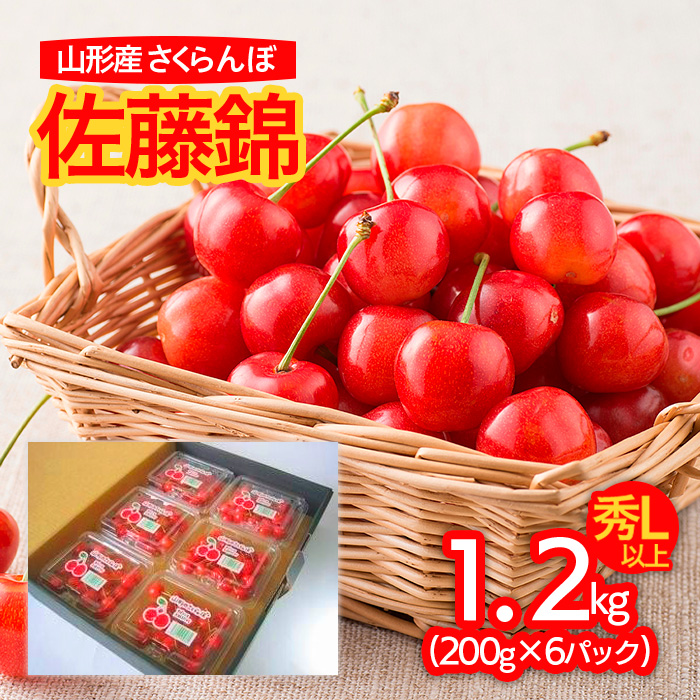 山形産 さくらんぼ 佐藤錦 L以上 1.2kg(200g×6パック入) 【令和7年産先行予約】FU21-829