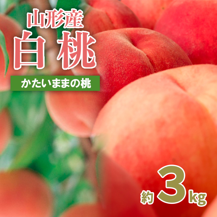 山形の産直所で人気！硬くてカリカリの桃 3kg(5～12玉) 【令和7年産先行予約】FU21-831