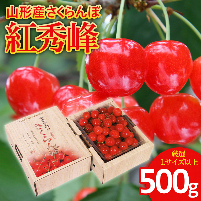 さくらんぼ 紅秀峰 厳選 L以上 500g入り1箱 【令和8年産先行予約】FS25-559